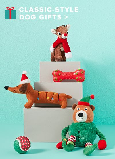 Pet Holiday Gifts: Christmas Stocking Stuffers, Toys & Treats | PetSmart